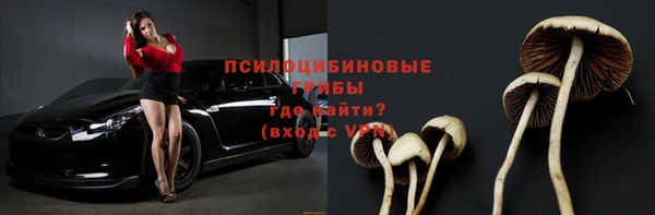 a pvp Алзамай