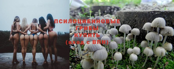 mix Алексеевка