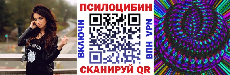 Купить где Богородск Галлюциногенные грибы MAGIC MUSHROOMS